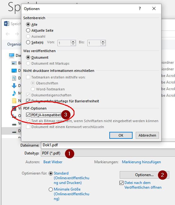 PDF/A speichern in MS Word